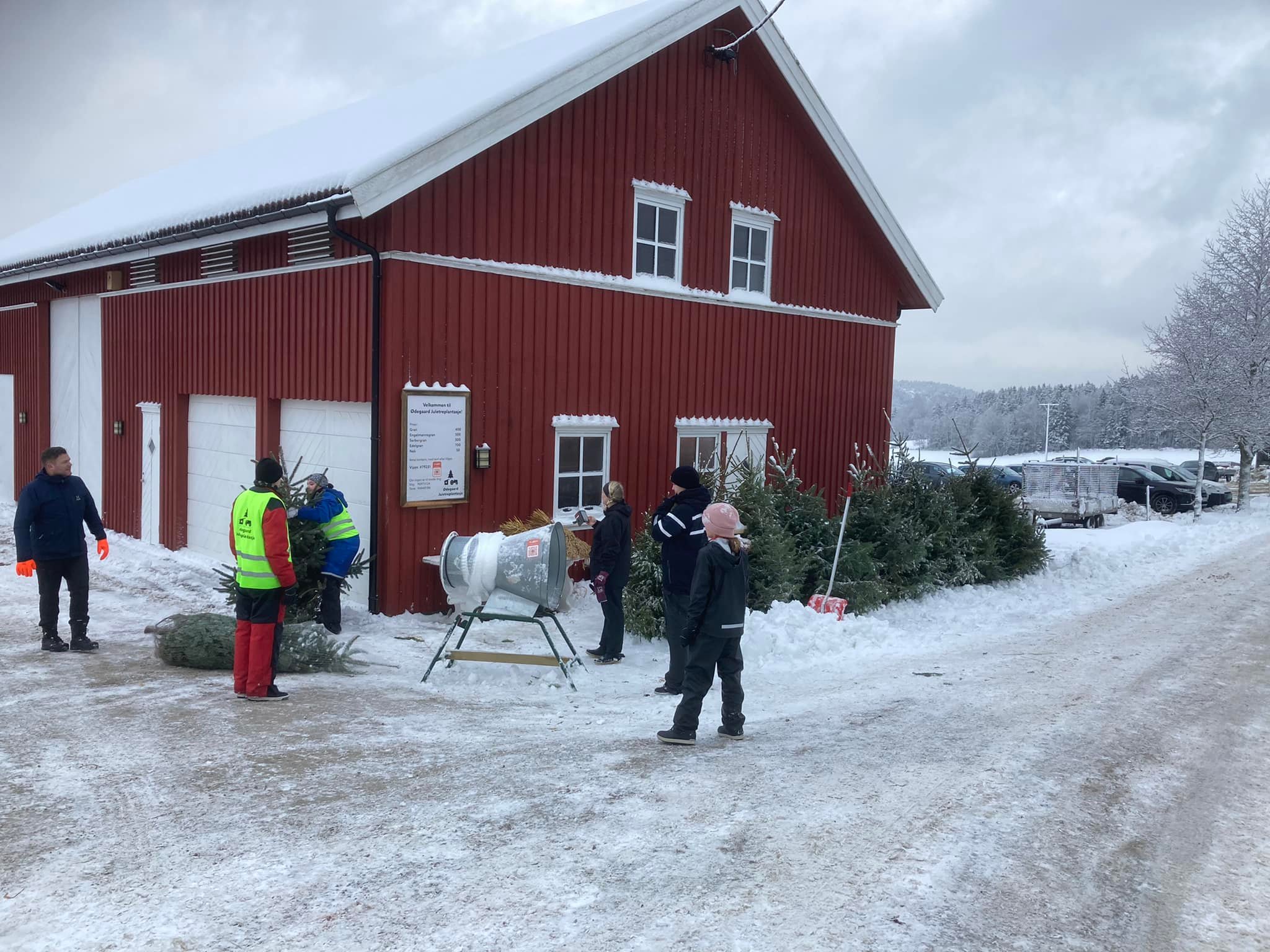 Gårdsutsalg ved Ødegaard Juletreplantasje
